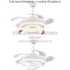ceiling fan light